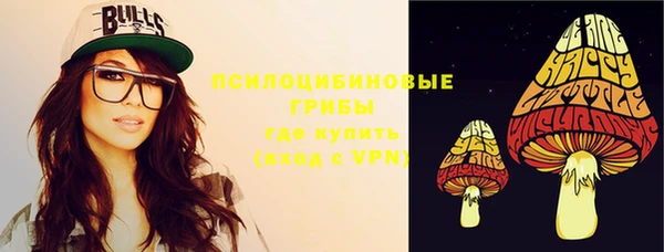прущая мука Каменка