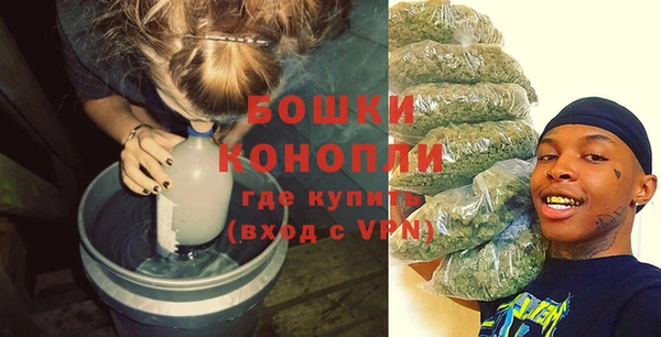 прущая мука Каменка