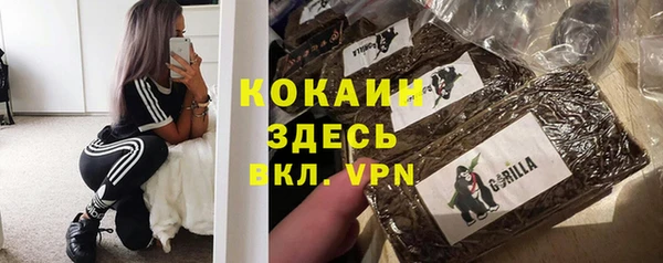 прущая мука Каменка